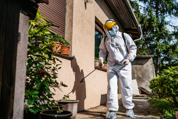 Flea Control Services in Feather Sound, FL