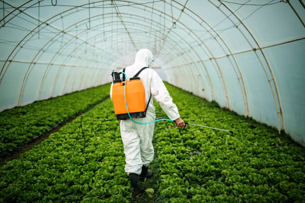 Reliable Feather Sound, FL Pest Control Solutions